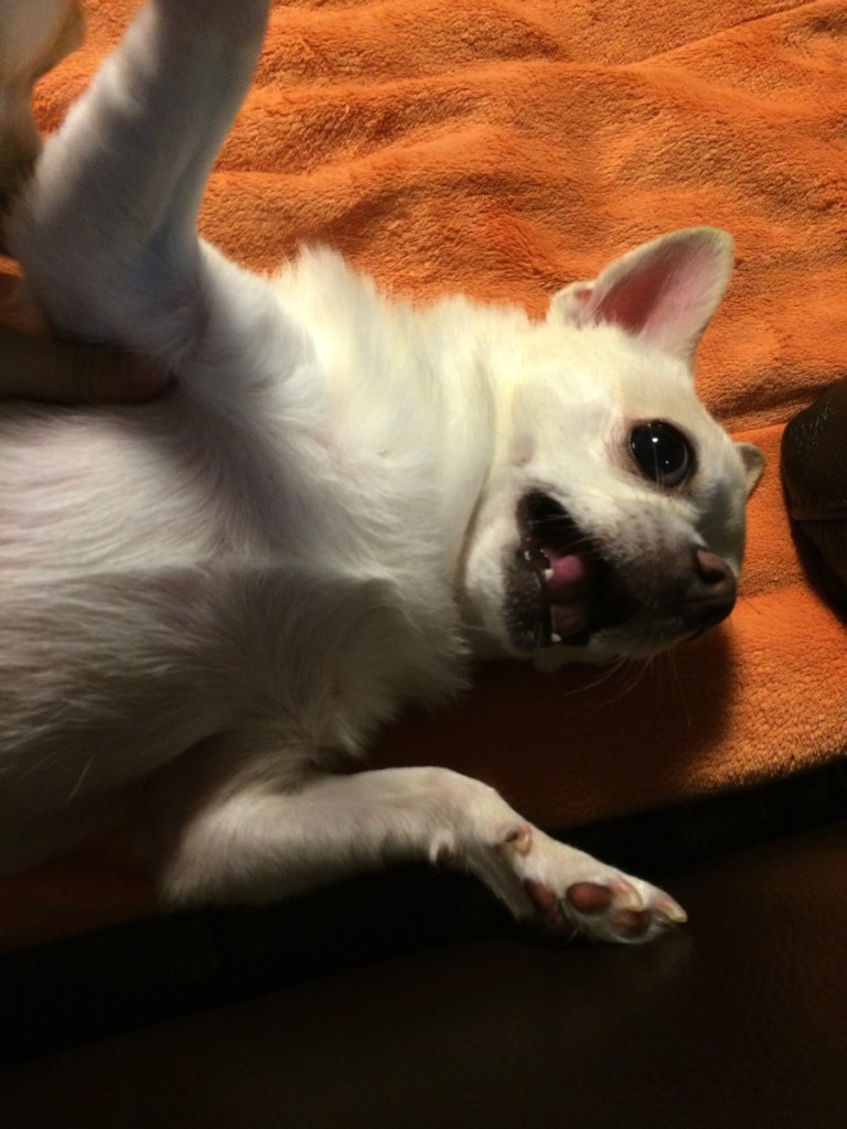 生活リズムが崩壊しないように行っている快眠の工夫6つ