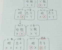 筋ジストロフィーの遺伝