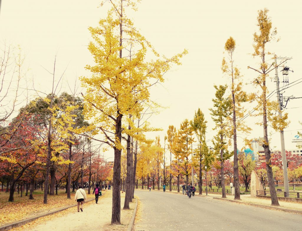 日本国内でわずか数名の希少難病「肢端紅痛症(したんこうつうしょう)」の当事者の話が恐ろしすぎてゾッとした話