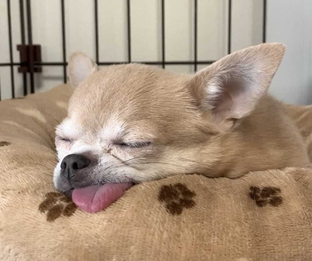 日々の生活を改善するために最近始めたこと